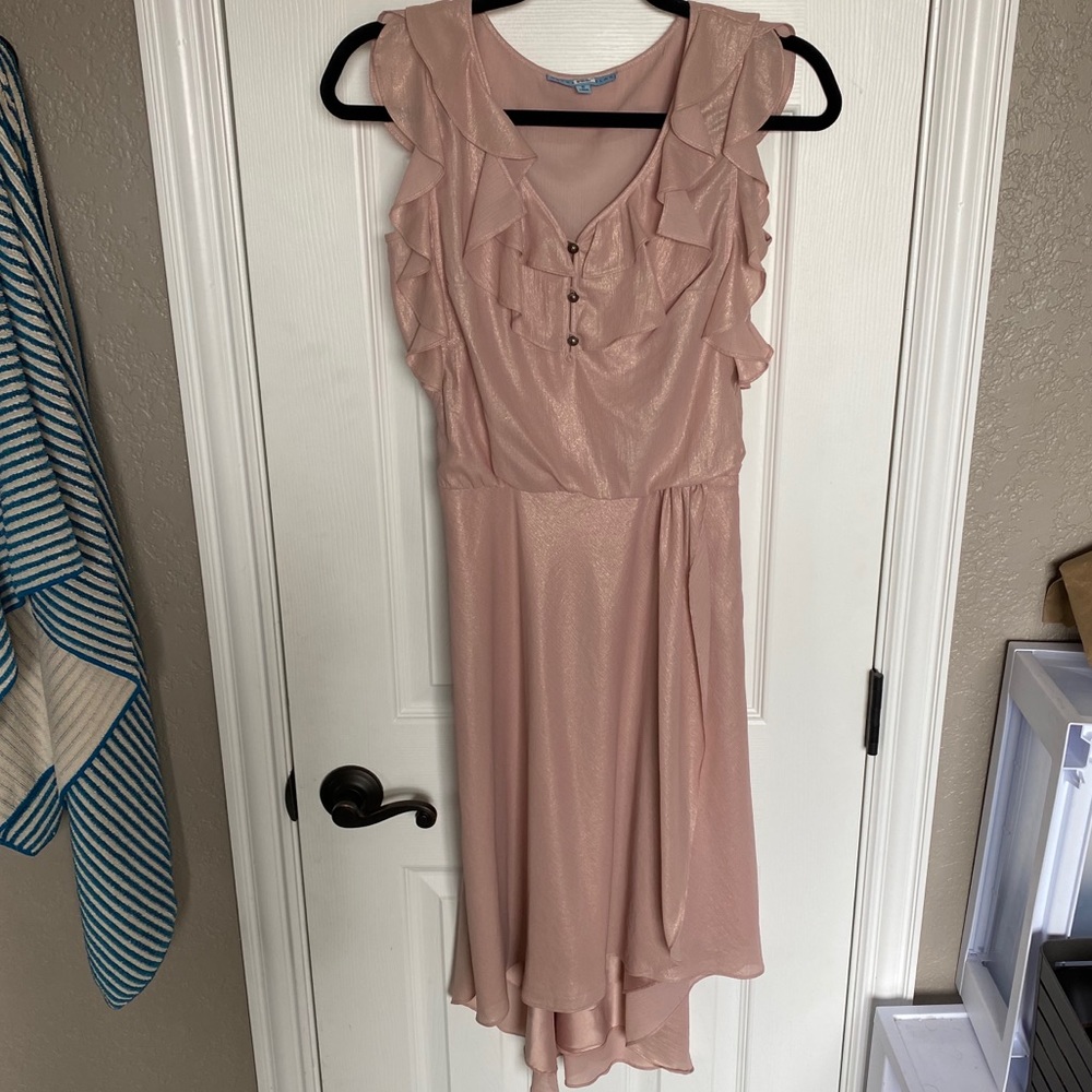 Antonio Melani Blush Ruffle Dress